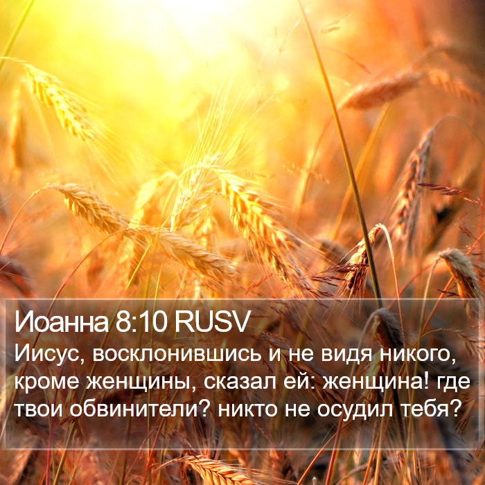 Иоанна 8:10 RUSV Bible Study