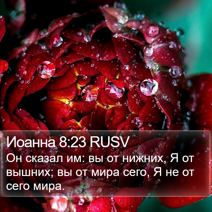 Иоанна 8:23 RUSV Bible Study