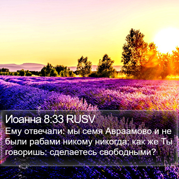 Иоанна 8:33 RUSV Bible Study