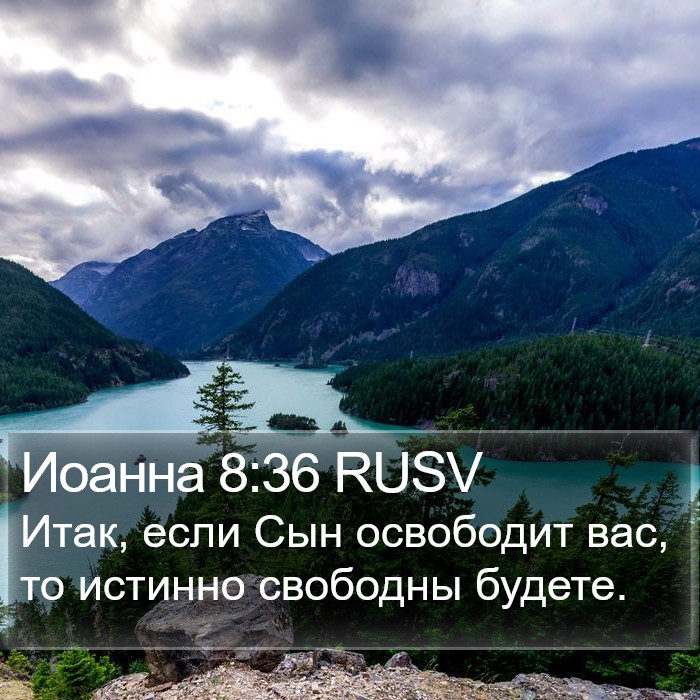 Иоанна 8:36 RUSV Bible Study