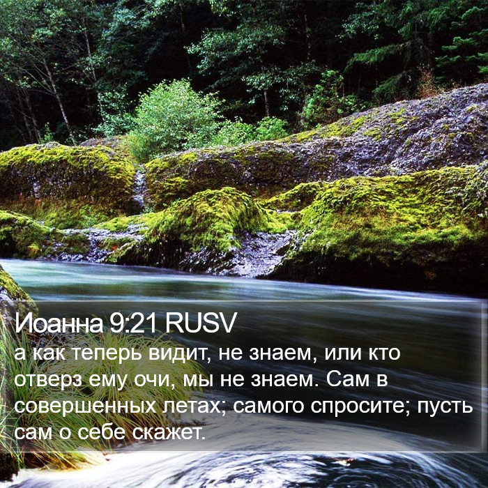 Иоанна 9:21 RUSV Bible Study