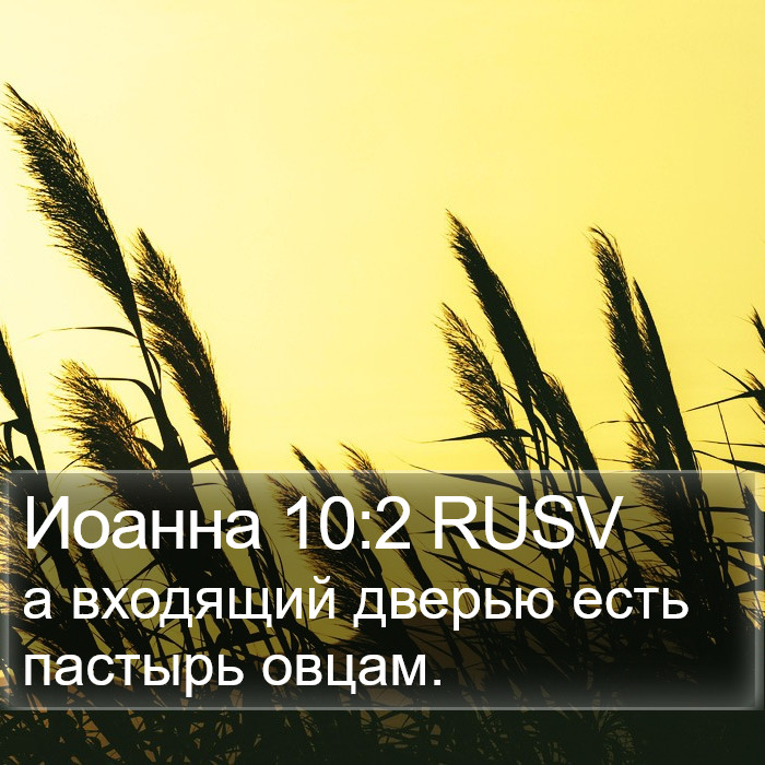 Иоанна 10:2 RUSV Bible Study