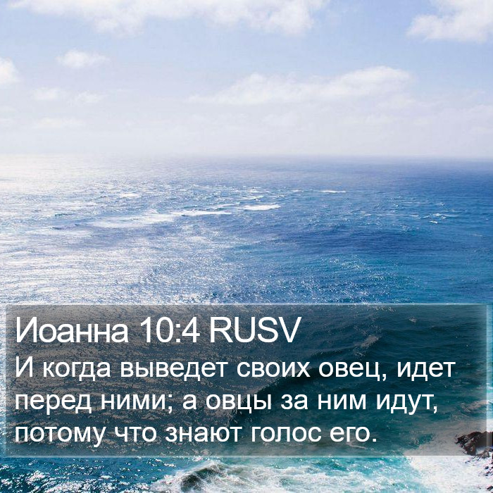 Иоанна 10:4 RUSV Bible Study