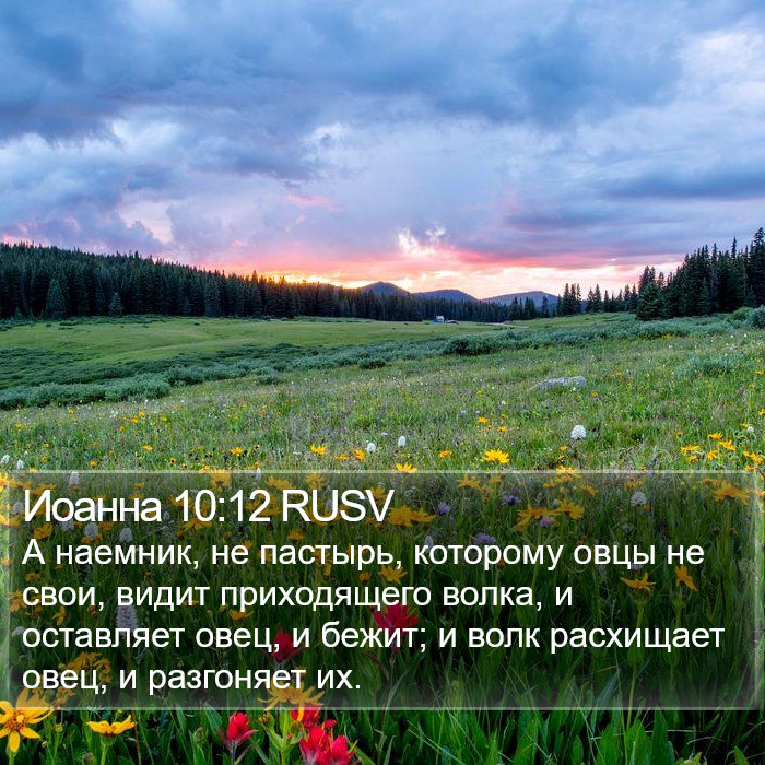 Иоанна 10:12 RUSV Bible Study