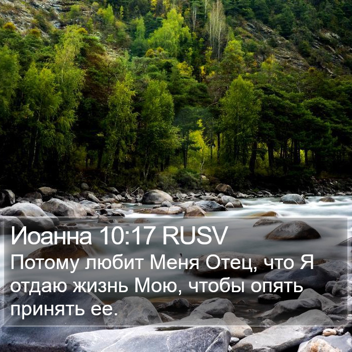 Иоанна 10:17 RUSV Bible Study