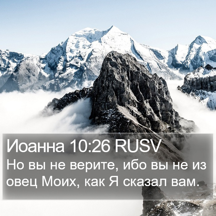 Иоанна 10:26 RUSV Bible Study