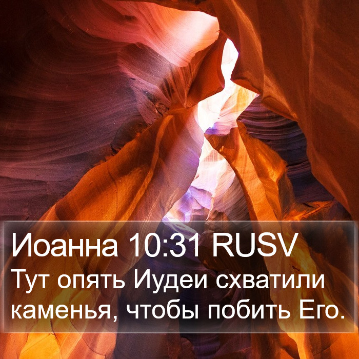 Иоанна 10:31 RUSV Bible Study