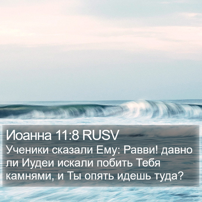 Иоанна 11:8 RUSV Bible Study