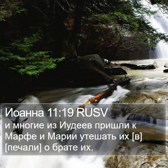 Иоанна 11:19 RUSV Bible Study