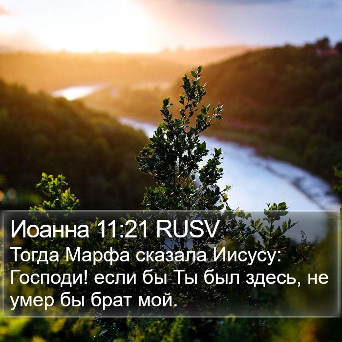 Иоанна 11:21 RUSV Bible Study