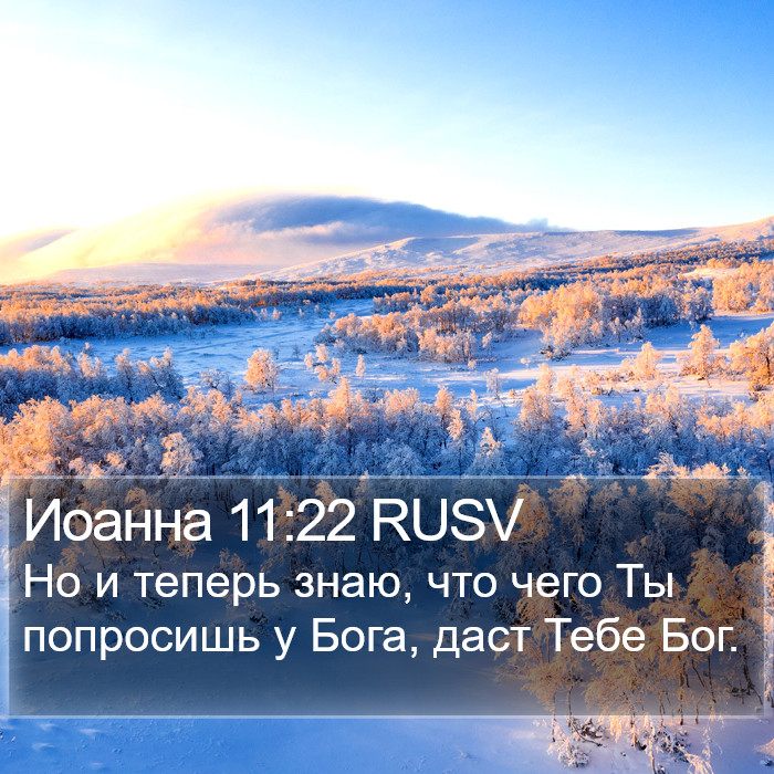 Иоанна 11:22 RUSV Bible Study