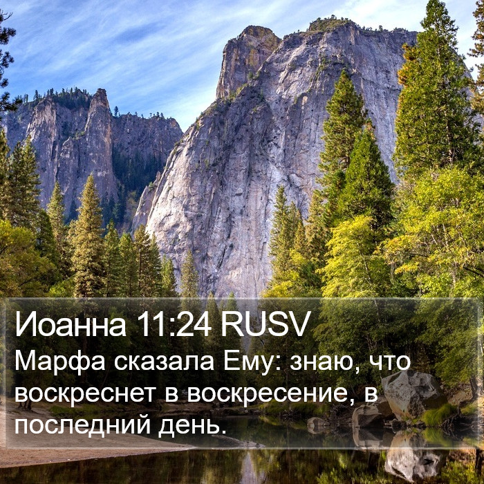 Иоанна 11:24 RUSV Bible Study