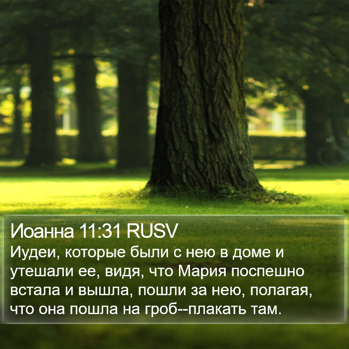 Иоанна 11:31 RUSV Bible Study