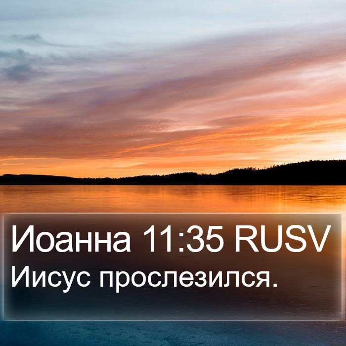 Иоанна 11:35 RUSV Bible Study