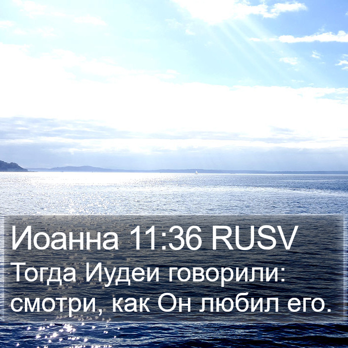 Иоанна 11:36 RUSV Bible Study