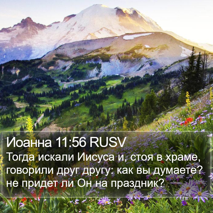 Иоанна 11:56 RUSV Bible Study