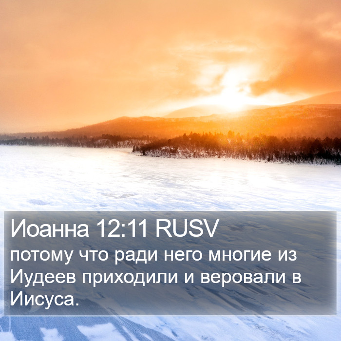 Иоанна 12:11 RUSV Bible Study