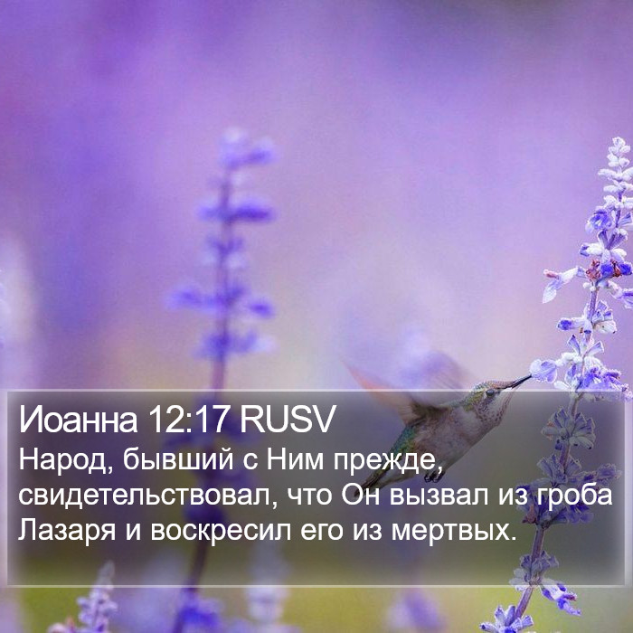 Иоанна 12:17 RUSV Bible Study