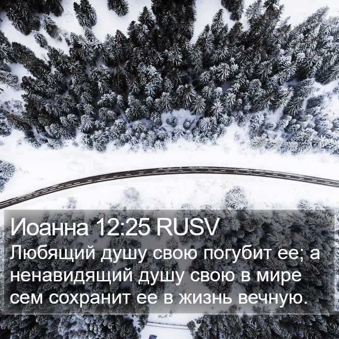 Иоанна 12:25 RUSV Bible Study