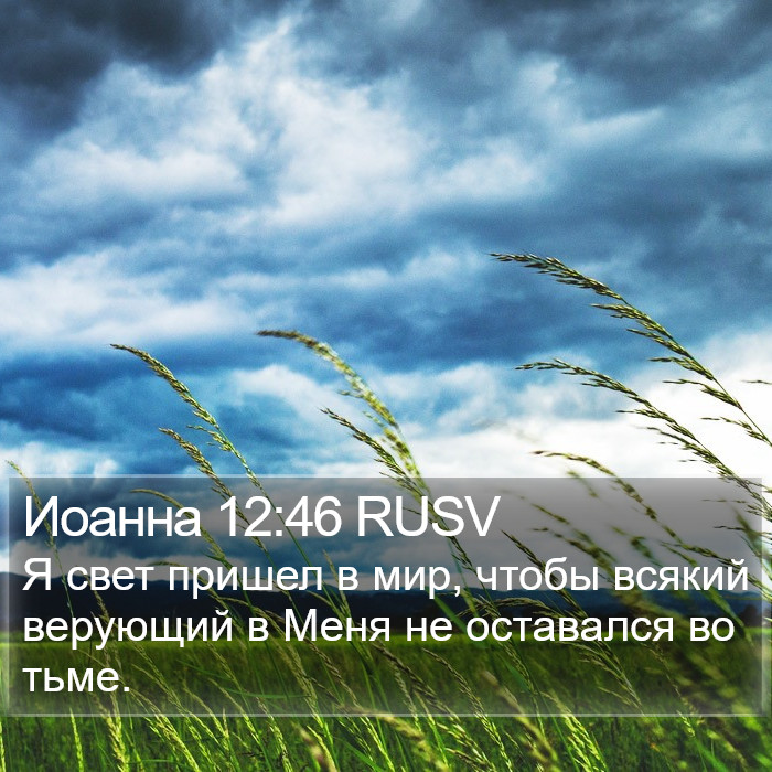 Иоанна 12:46 RUSV Bible Study