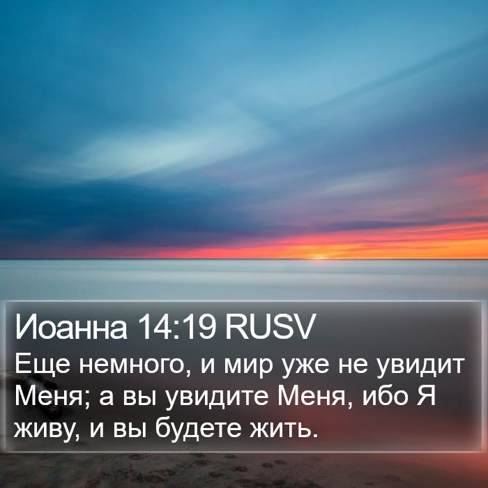 Иоанна 14:19 RUSV Bible Study