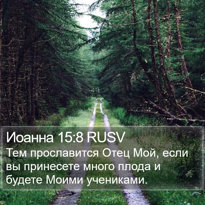 Иоанна 15:8 RUSV Bible Study