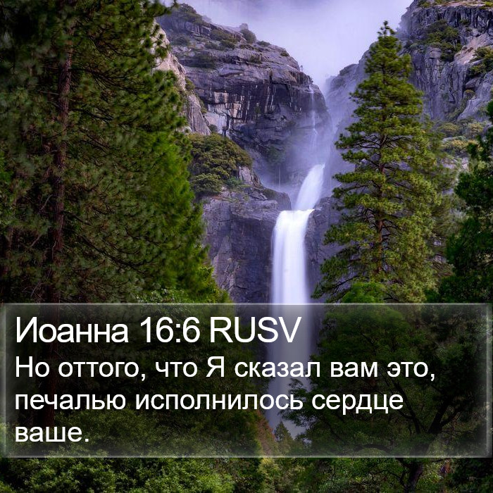 Иоанна 16:6 RUSV Bible Study