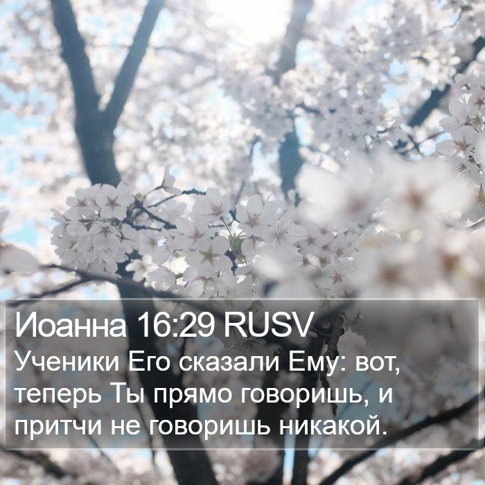 Иоанна 16:29 RUSV Bible Study