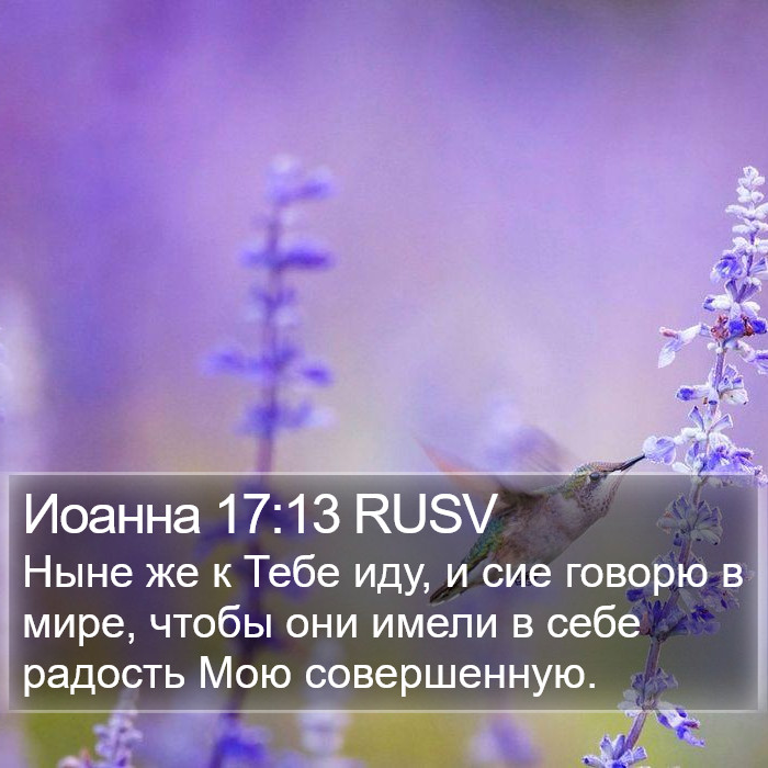 Иоанна 17:13 RUSV Bible Study