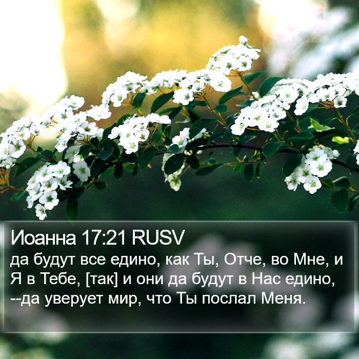 Иоанна 17:21 RUSV Bible Study