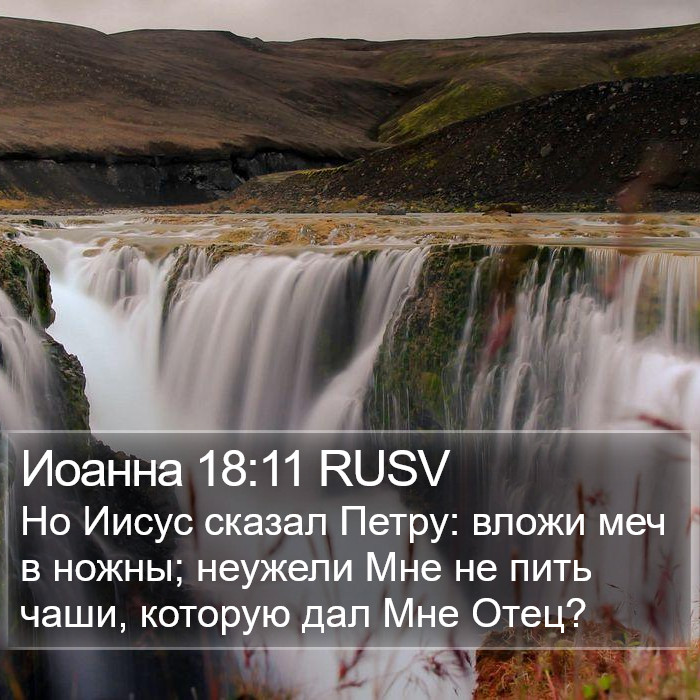 Иоанна 18:11 RUSV Bible Study