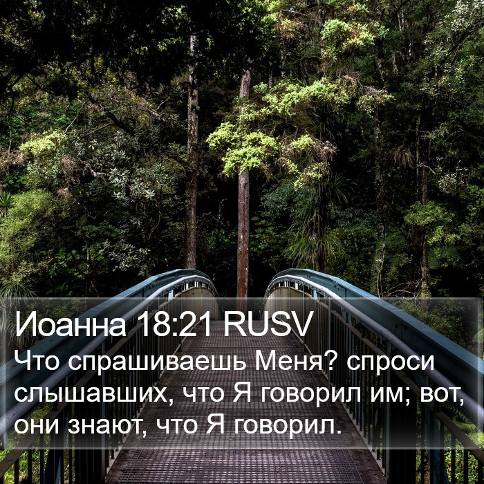 Иоанна 18:21 RUSV Bible Study