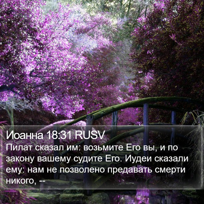 Иоанна 18:31 RUSV Bible Study
