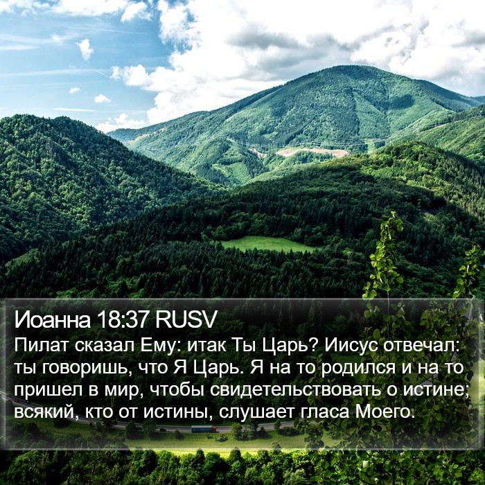 Иоанна 18:37 RUSV Bible Study