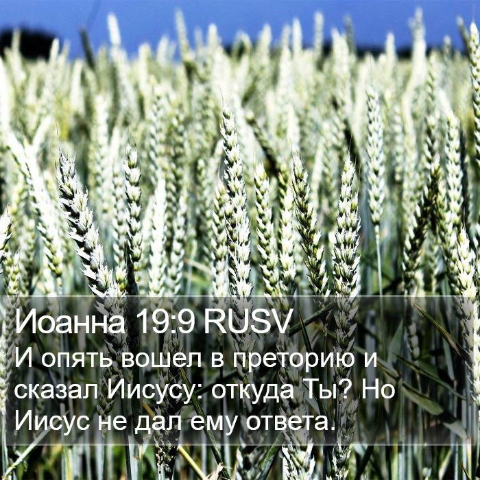 Иоанна 19:9 RUSV Bible Study