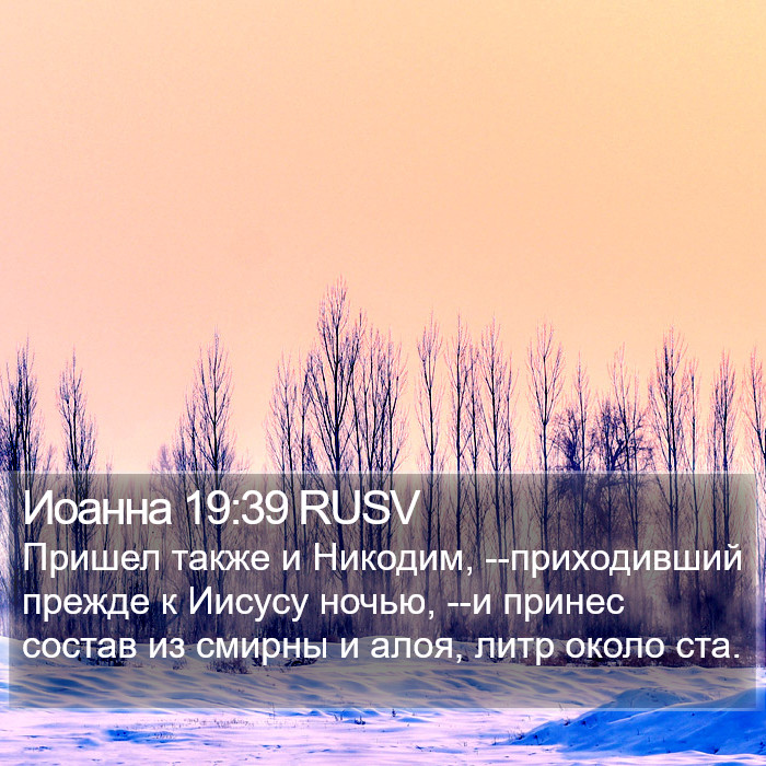 Иоанна 19:39 RUSV Bible Study