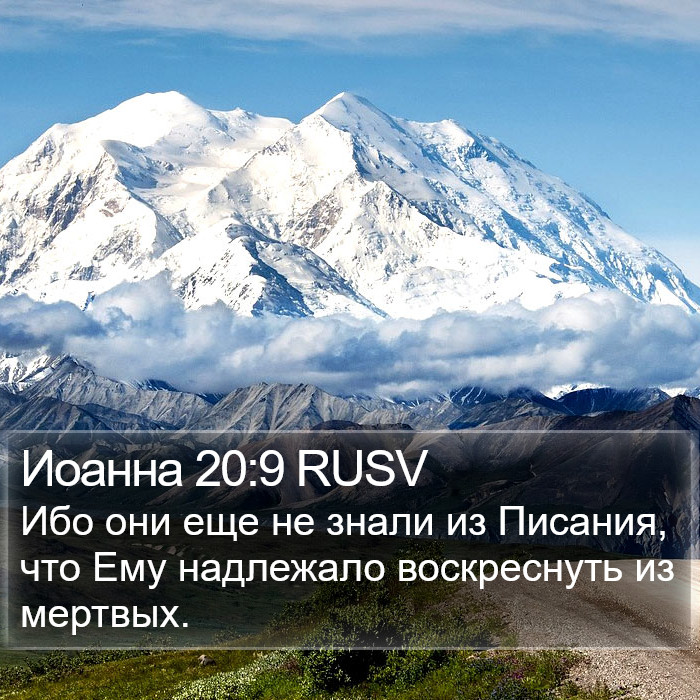 Иоанна 20:9 RUSV Bible Study