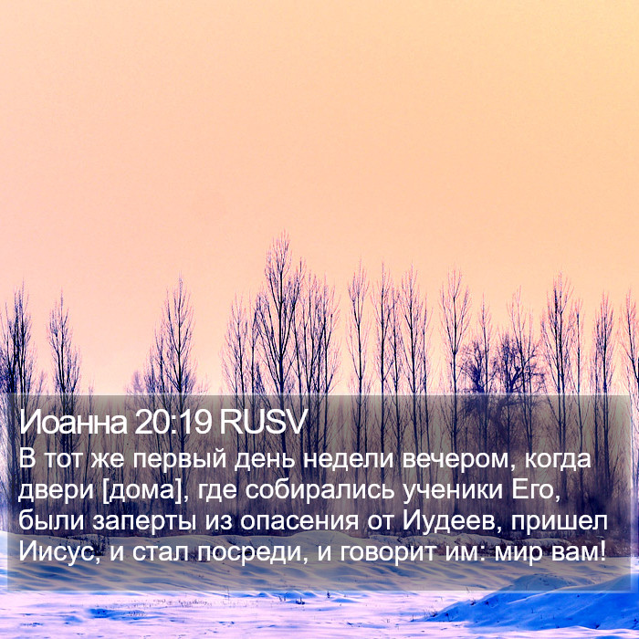 Иоанна 20:19 RUSV Bible Study