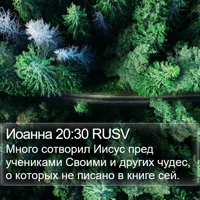 Иоанна 20:30 RUSV Bible Study