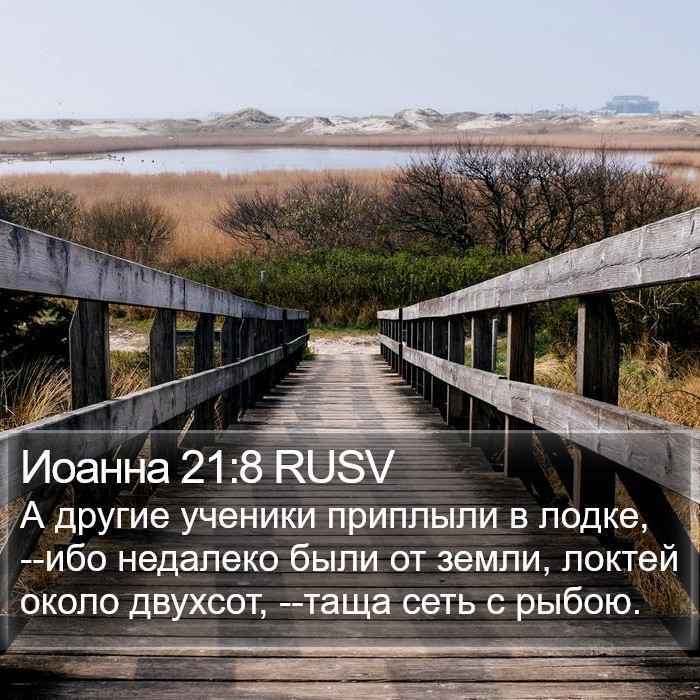 Иоанна 21:8 RUSV Bible Study