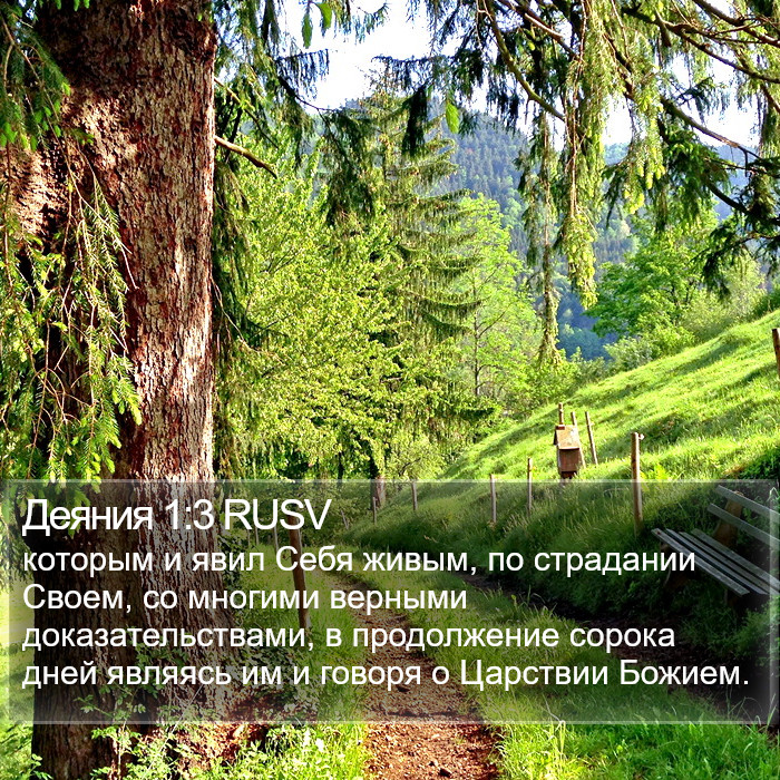 Деяния 1:3 RUSV Bible Study