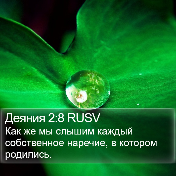 Деяния 2:8 RUSV Bible Study