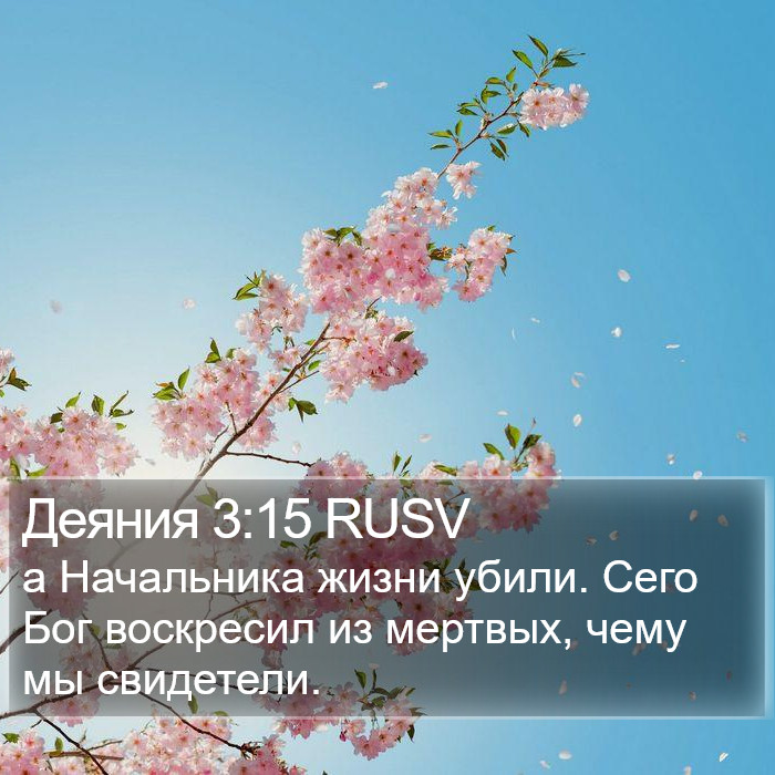 Деяния 3:15 RUSV Bible Study