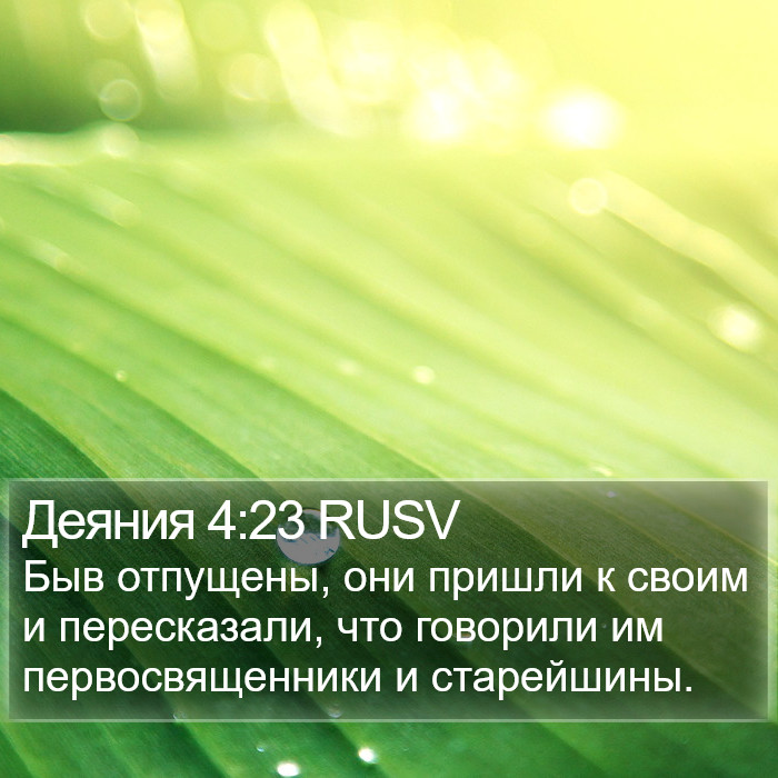 Деяния 4:23 RUSV Bible Study