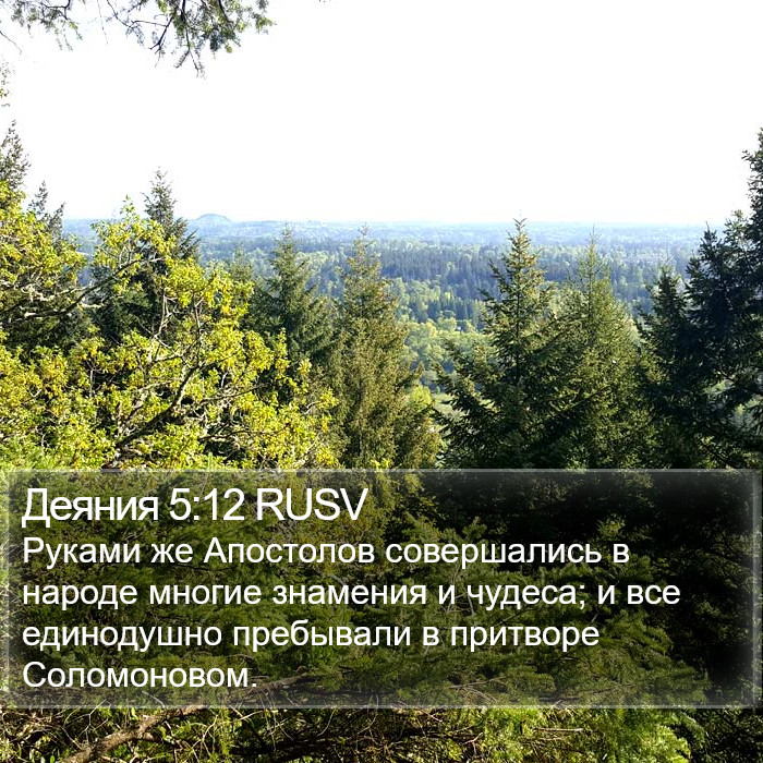 Деяния 5:12 RUSV Bible Study