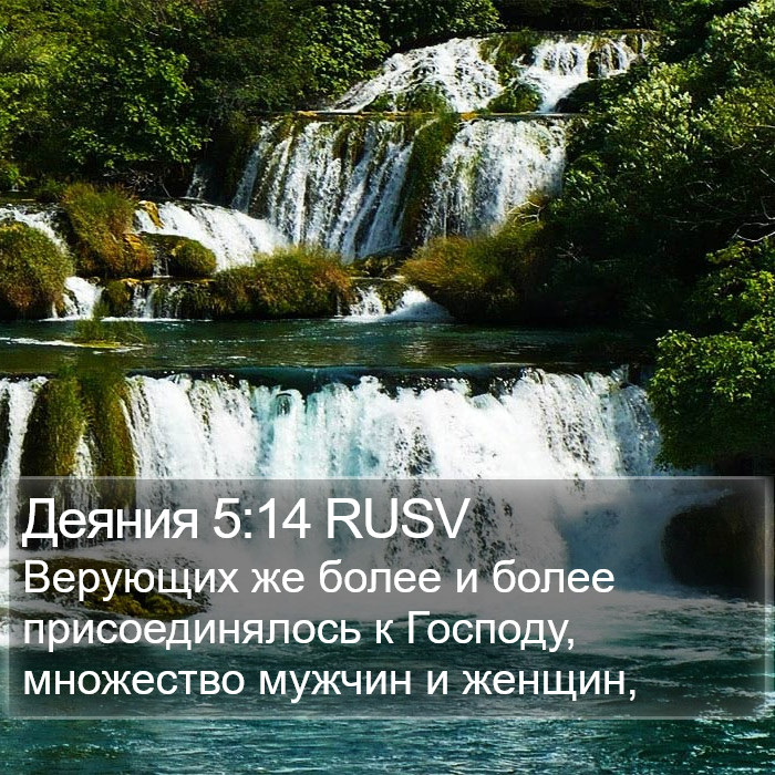 Деяния 5:14 RUSV Bible Study