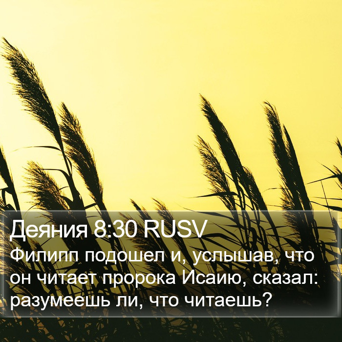 Деяния 8:30 RUSV Bible Study