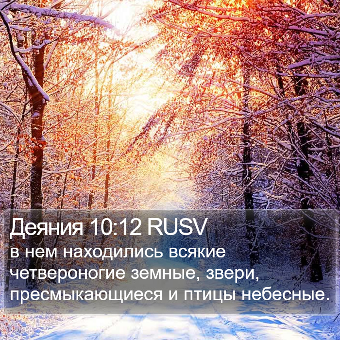 Деяния 10:12 RUSV Bible Study