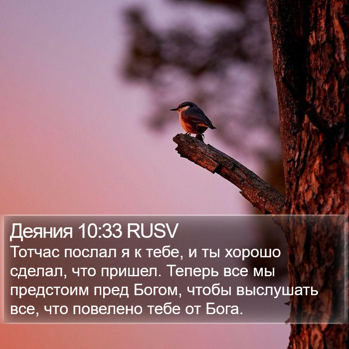Деяния 10:33 RUSV Bible Study