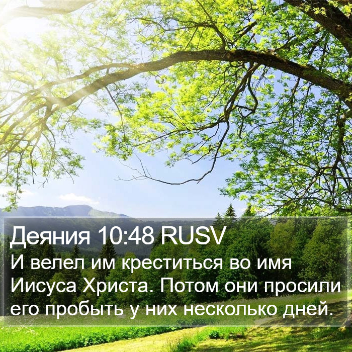 Деяния 10:48 RUSV Bible Study